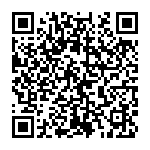 公式LINE案内の二次元バーコード